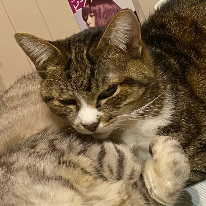 9e36302c c6a2 4236 b37e 7c3969ce94f3 1671271786974