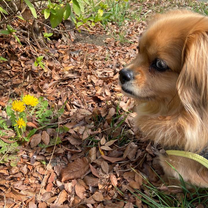 9e363162 2988 4334 a71d eb31762b1487 1647136109109