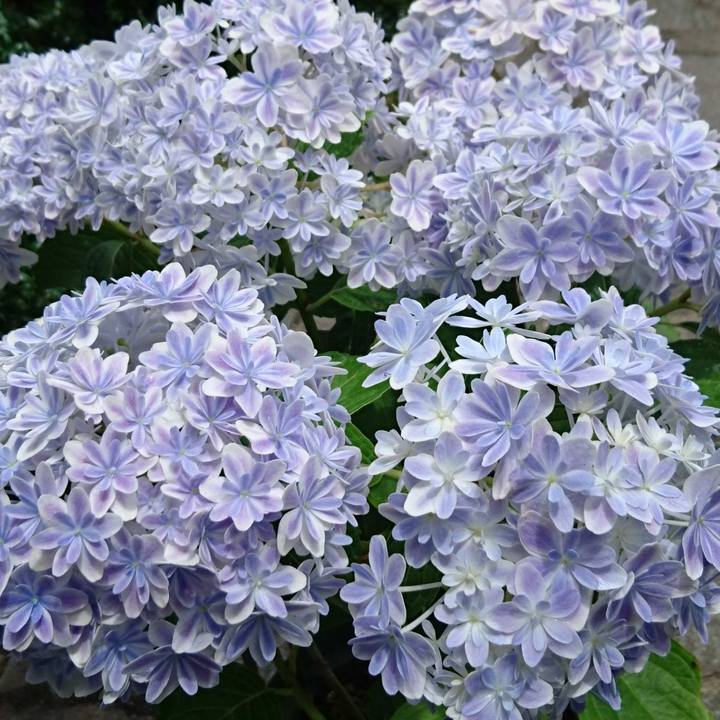 9e365049 bba0 4832 a768 506635709d5d 1528452514572