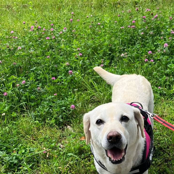 9e3662f5 6782 4ba7 8355 5fdf2a4d5716 1685593512459