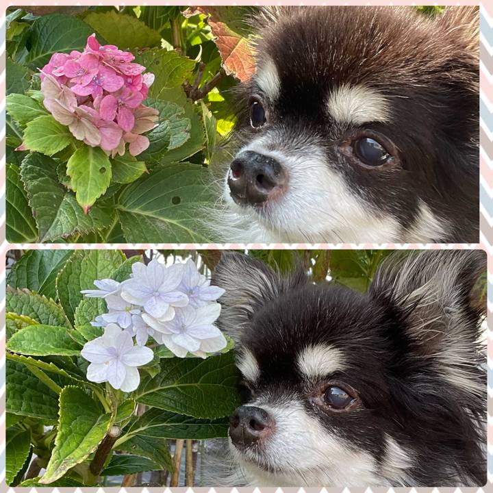 9e3685c6 84ab 44d4 8be8 2b33e9048c73 1699012051701