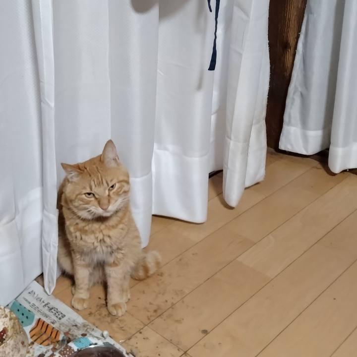 9e36891b 9905 4ce1 86c1 4f7e41347b7e 1684543518958