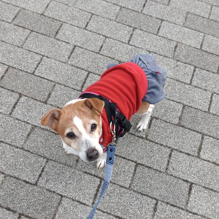 9e369174 ce3a 4b8e 905d 2a953fa957a4 1770341912826