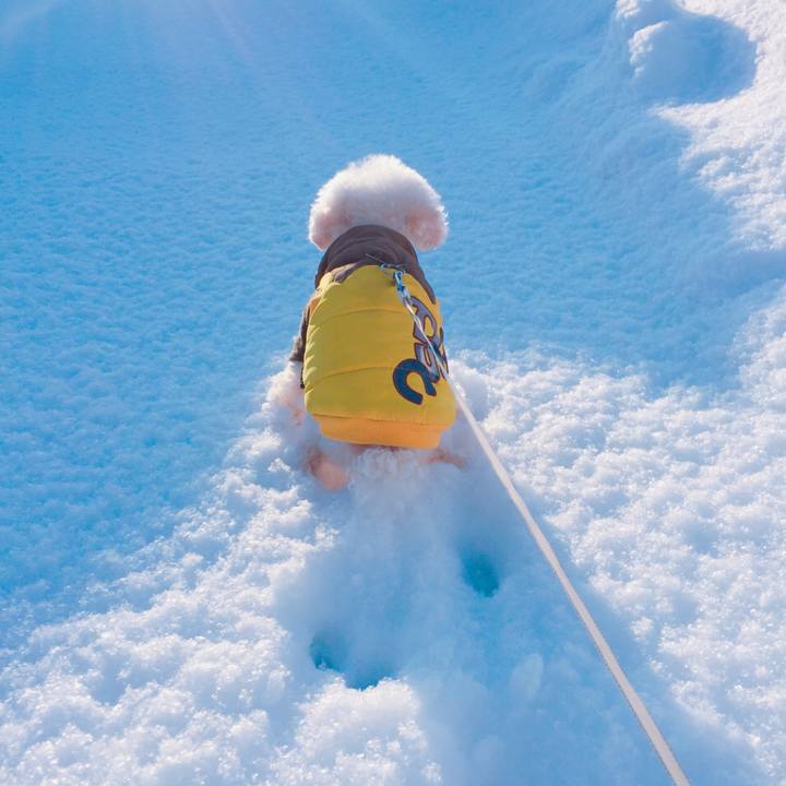 9e369d67 dcd5 43bb a543 2813944ae565 1519548400598