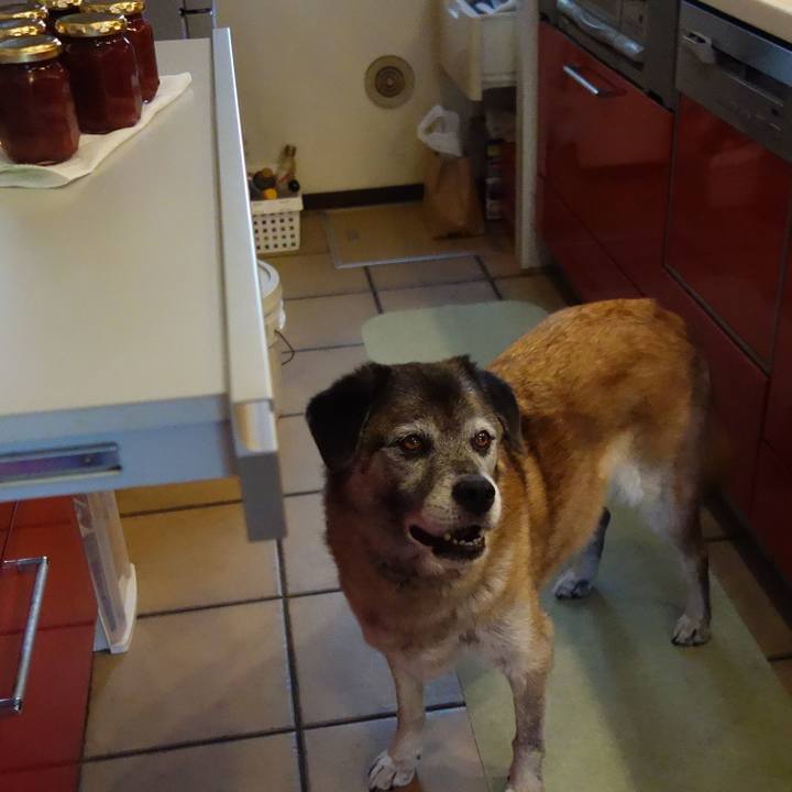 9e36cf70 dc56 43ba 9a8e 8a236a754f94 1676860831836