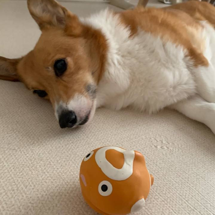 9e36e5c4 8e94 4217 8569 d3e05e74372e 1719900417763