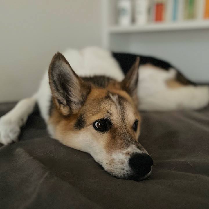 9e36f493 a2fb 48c0 975c 8dec949d41a6 1761437184417