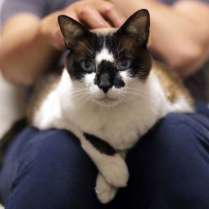 9e36f5b4 9d63 41bf a211 37c4c65e2bdd 1529583259260