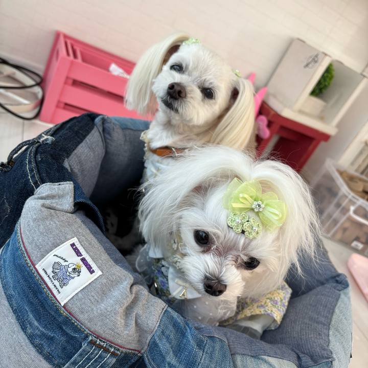 9e371896 3189 462c a931 77b3094d70be 1774005998246