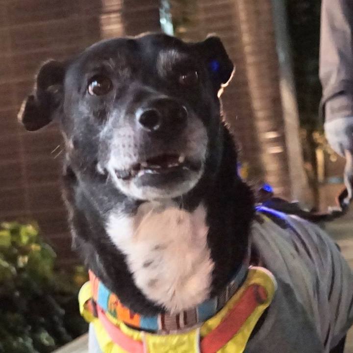 9e371dc9 5b4c 4bde a49a a3476c42cefc 1770375707672