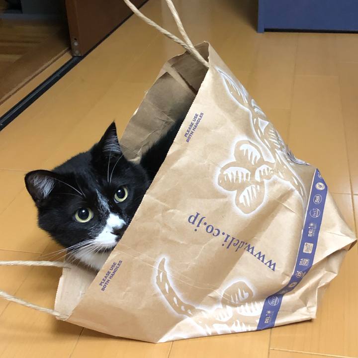 9e371edc edb0 4f17 bbdb c4bdfe2f010d 1562211863215