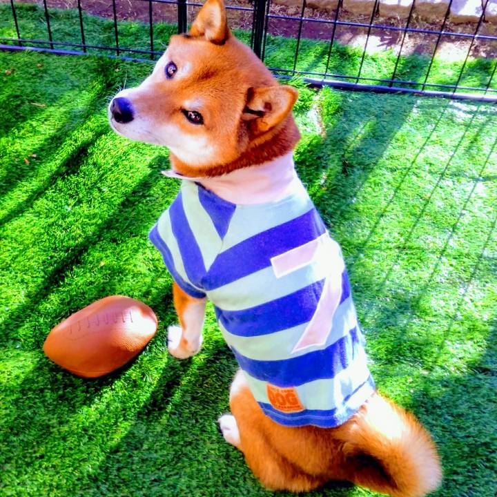 9e3738be eef5 4a0a b91a 903b9095dbe5 1515733607030