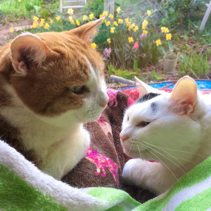 9e3760c0 b176 4ee9 be49 3e4c91153aa6 1618269683931