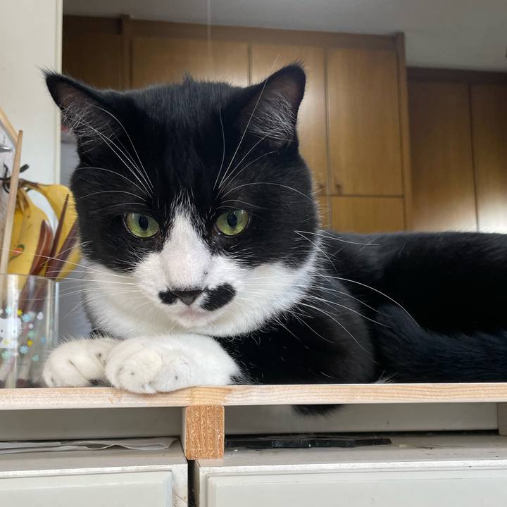 9e376860 da9a 4025 89a9 58fc0ac0eb23 1662764260641