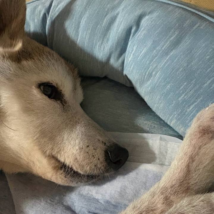 9e379a57 fef1 4bbf a271 fe7c9ad0116e 1761662849362