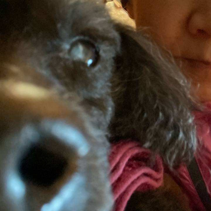 9e37ae82 784b 4018 b9a6 a6a6d1e09505 1615155944524