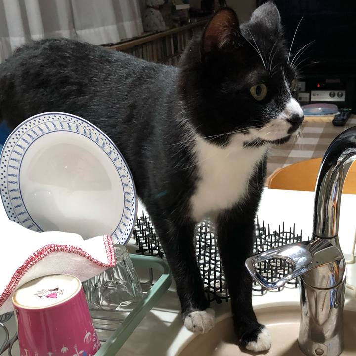 9e37b154 0a8a 428f 937d 4561b78e9e03 1559792936466