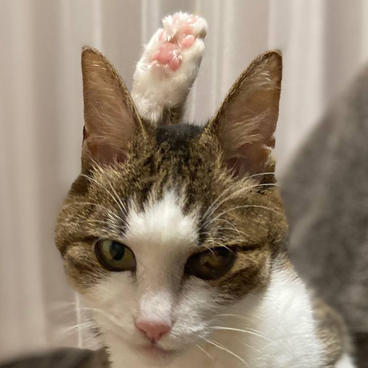 9e37cedd 205c 4c73 8f4b 6837a478f5ac 1581594197410