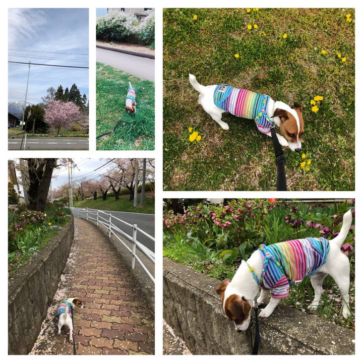 9e37e3c2 f75f 4212 a717 ec7cb6d6c291 1523689579154