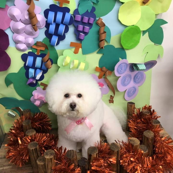 9e3819d5 e055 46d4 84a3 2c61191d847b 1570024686000