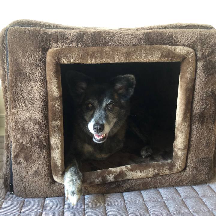 9e382022 d4cb 45aa 86b6 44b7b3ab79fb 1689563380517