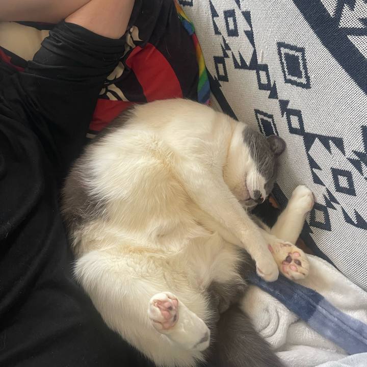 9e384486 3f12 4cae 9fe3 a31cfecb7469 1742882954239