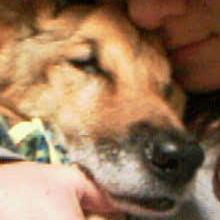 9e38602e d94a 438c 985f 16b6527b7b53 1587126110246