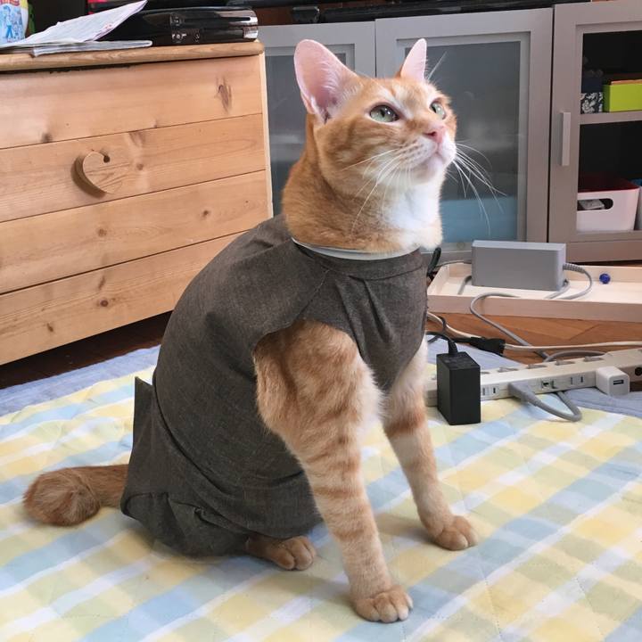 9e388e2e 1ff8 452f 8f03 b727a422e4cf 1530424655458