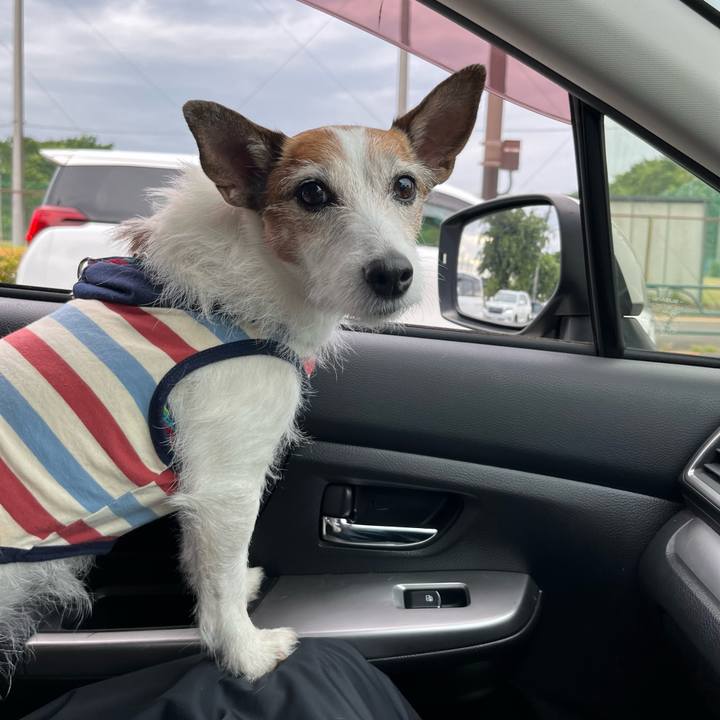 9e38a852 07c8 4294 b918 81e1ecc13ee8 1682814591443