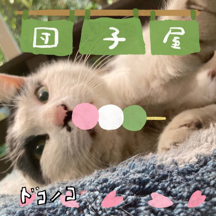 9e38ee35 3c87 43e7 86c6 650108aa5378 1712217296952