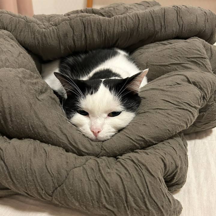 9e38ef94 3f3e 4aee 86c4 c912be25ba32 1760568129356