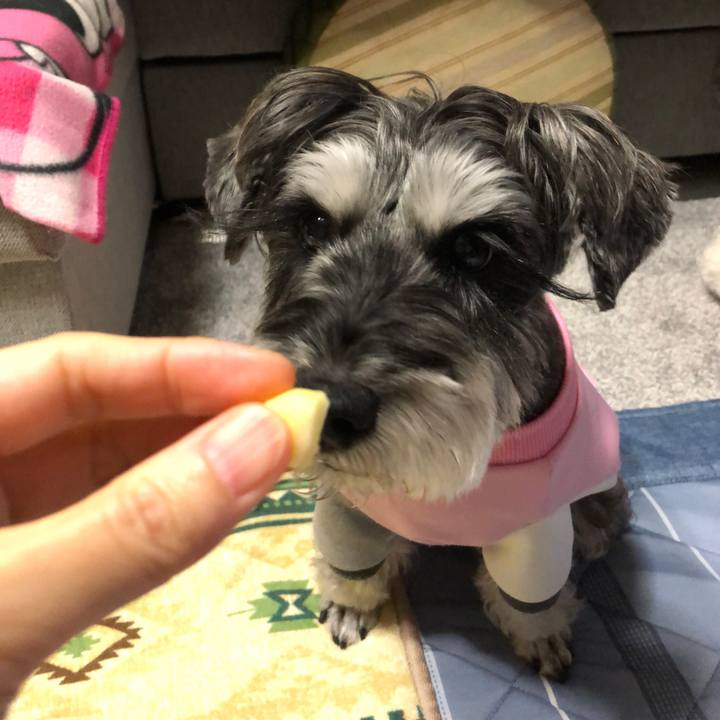 9e38fae5 9dcd 4b19 954f 246fc06b91f9 1668687958496