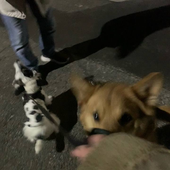 9e39030d 2687 4301 bb97 9f8592b171f3 1733920969548