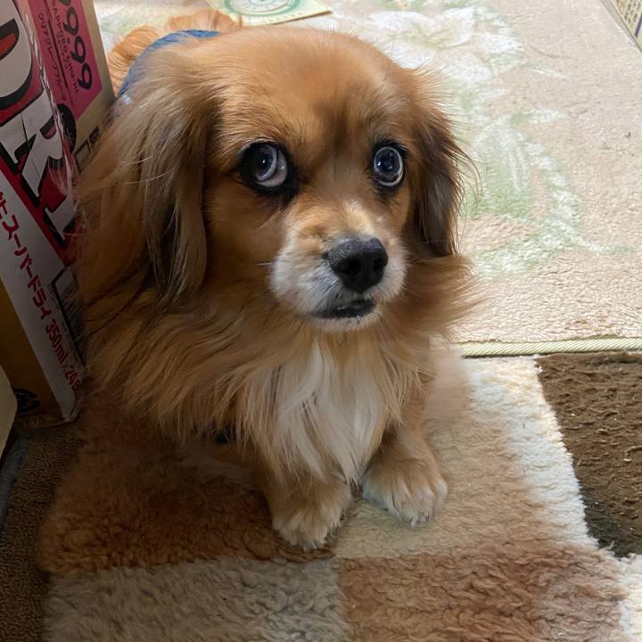 9e391350 6886 49a5 b122 8bdb54c73082 1640736849679