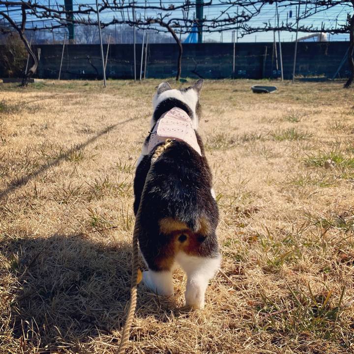 9e3932a6 c672 4728 bf4f 028e6deed003 1613887801318