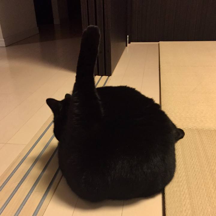 9e3934f1 60a9 4104 be13 aa0466131d7c 1527332202850