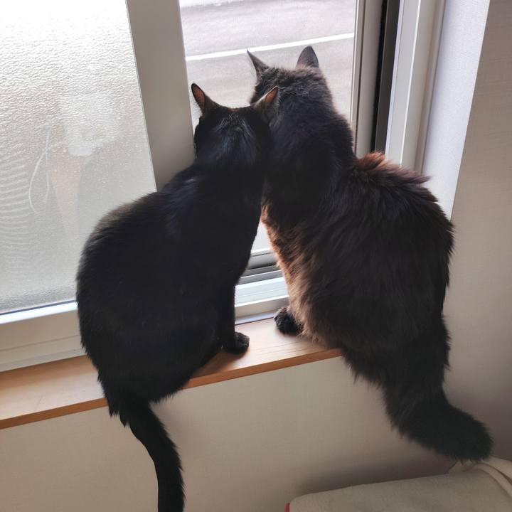 9e395b01 f47b 48d4 82a0 d7688ba55aa0 1776643687872