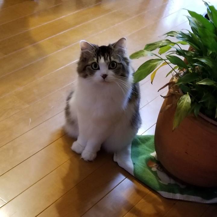 9e39b41e 9ac9 4a7f 87a9 64721334ad96 1538272798335