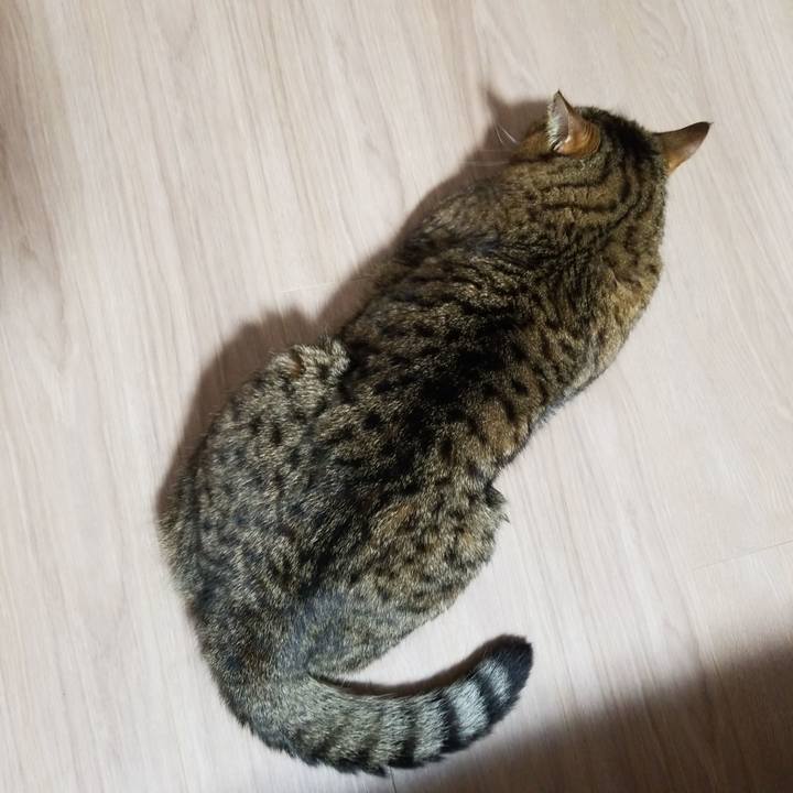 9e39f3fa 74da 42fb b169 6802c93abd22 1576587725375