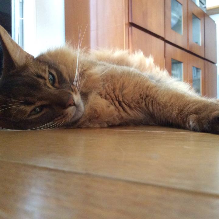 9e39f798 ef2a 4a97 a48a 0b85e859c410 1600997380929