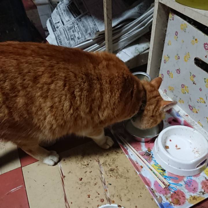 9e3a0540 dd13 4630 b3f0 08635608f848 1582837872121