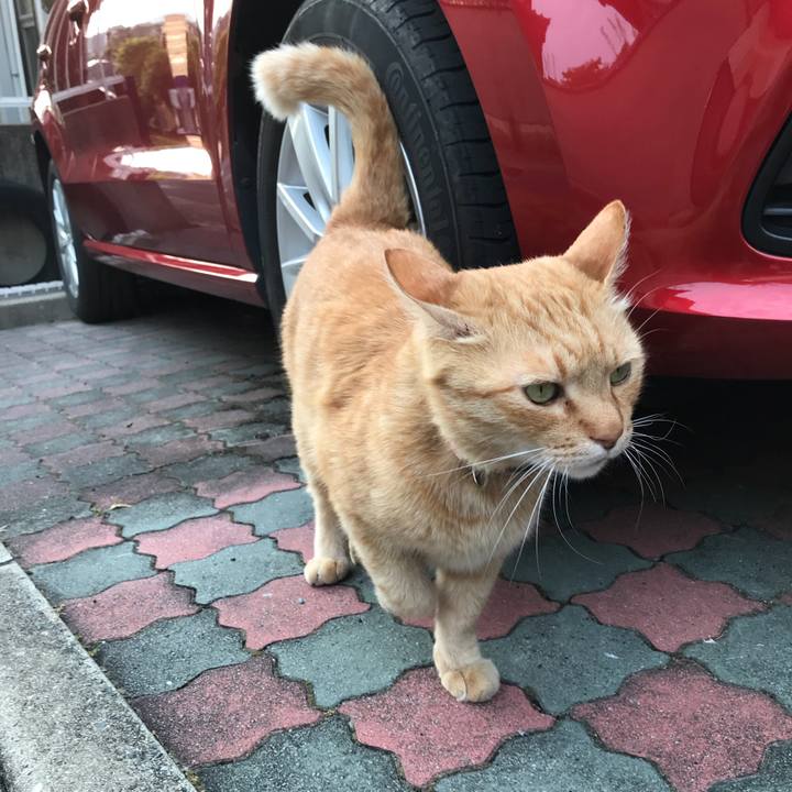 9e3a385c a011 4cfa b664 620fc0c35a38 1525519327984