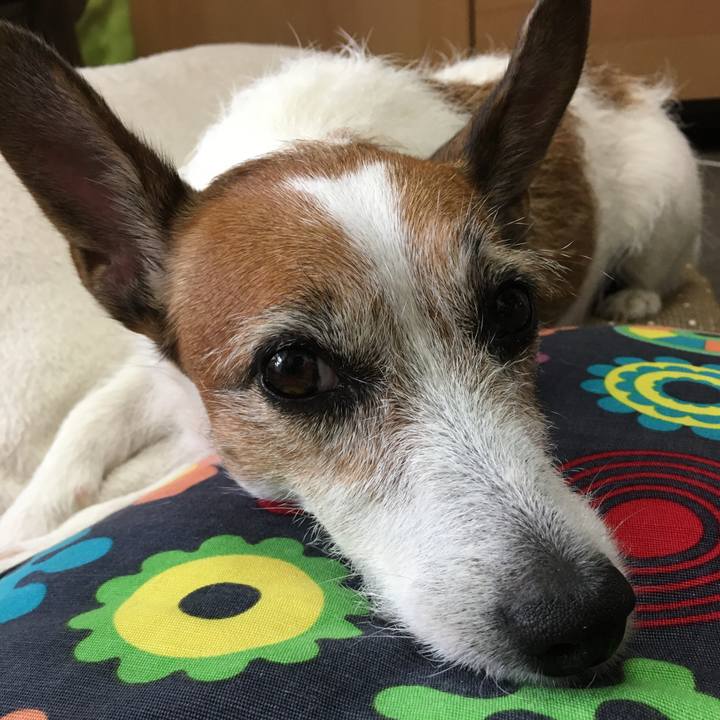 9e3a6a2b 5646 4de1 b908 56358c84e601 1596845371359