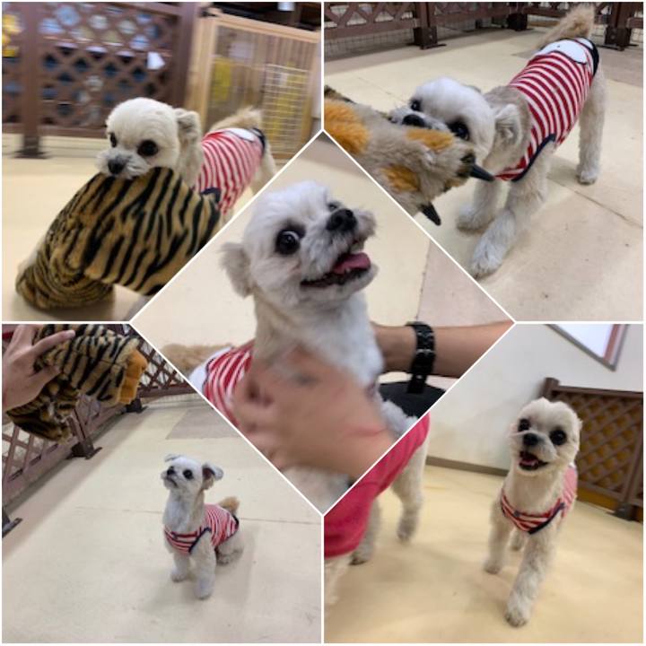 9e3aae10 0158 4fca 9a96 a5a57e2f2ced 1552919074513