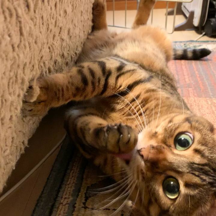 9e3b5d8a 4459 4a3e 9063 c209cc4eff68 1630638982075