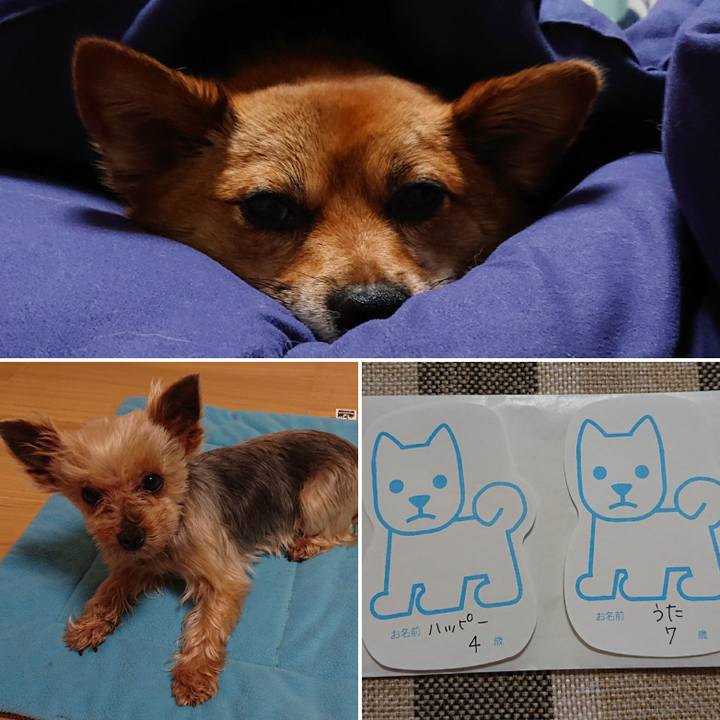 9e3b8946 468f 4e1d ae58 b900d7543fd6 1561863111084