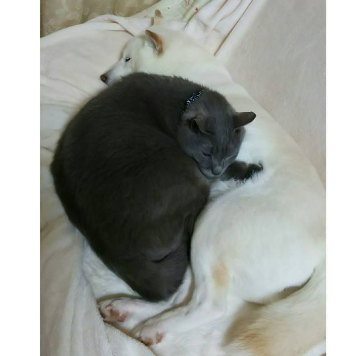 9e3bda46 d70d 442e 967b f6e40c21b4b4 1590026089872