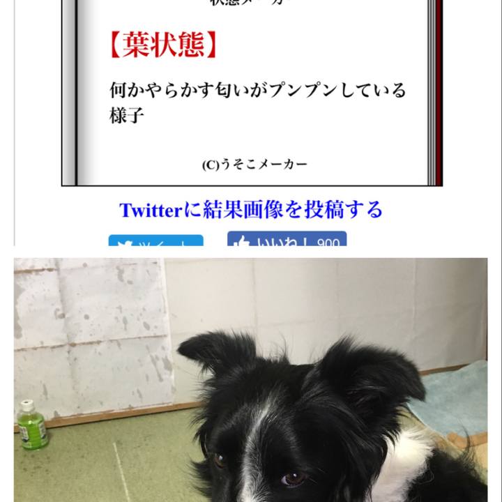 9e3bf4e9 9834 4e76 961a 4229fe8ca0a9 1515105596371