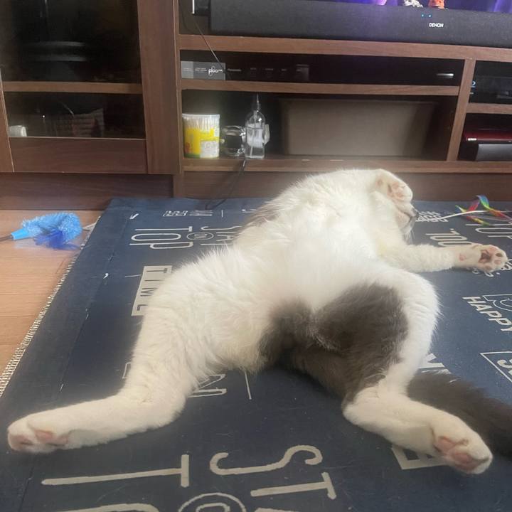 9e3bf5a5 be81 4bf9 964d 0dd713c219c5 1725433022348