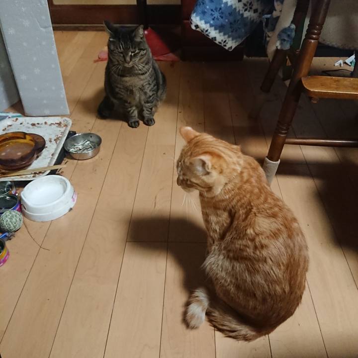 9e3c1546 99db 4233 b43a 8aaeafd2a980 1643448544633